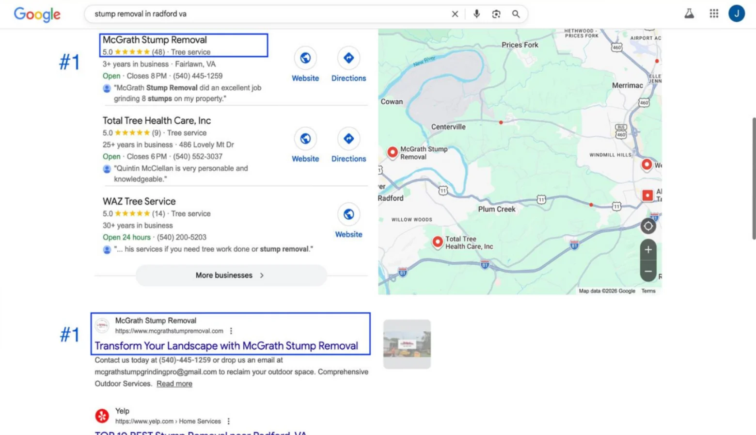 Google results for stump removal in radford va: McGrath Stump Removal is the first business in the Maps results, rated 5.0 from 48 reviews, and the first organic result below the map